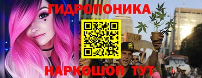 a pvp Котовск
